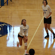 IMG-0416