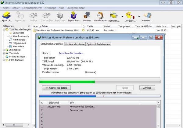 IDM-Internet-Download-Manager.jpg?042148