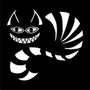 black-cat