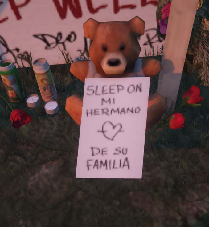 ss8.jpg