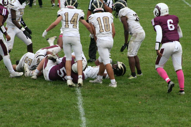 IMG-8343.jpg