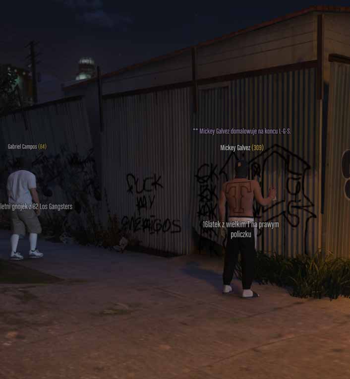 ss15.jpg