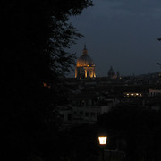 IMG-8833