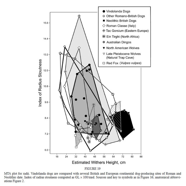 figure19