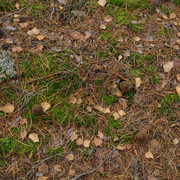 DSC05490