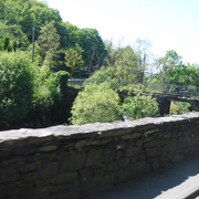 DSCF7884