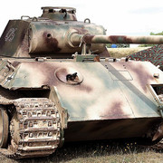 Panther-colour