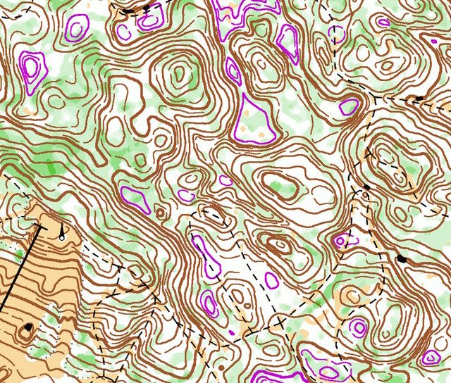 alpine.jpg