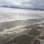 IMG-3499
