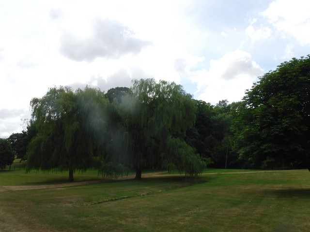 DSCF6170.jpg