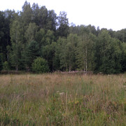 IMG-3976