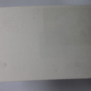 IMG-5041