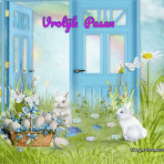 9.gif