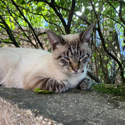 IMG-3107