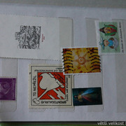 IMG-6824