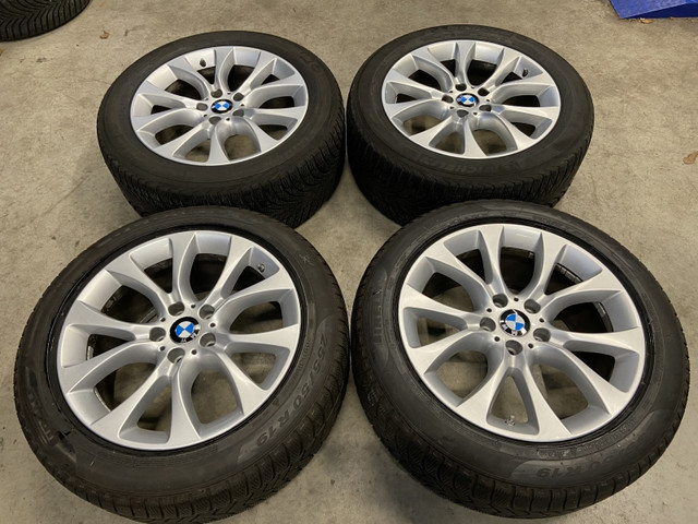 Summer-Wheels.jpg