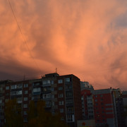 DSC-0878