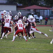 IMG-3115