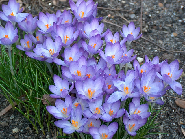 image072-45