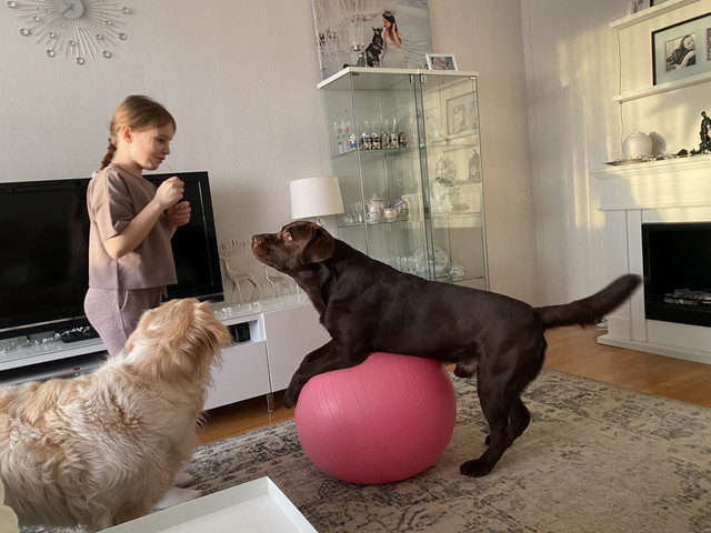 E93-F669-C-D786-420-B-8976-50564643-C27-