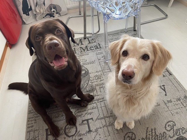 5-BBC0-C75-2-DE6-487-E-BB8-F-E5-FA270-E4