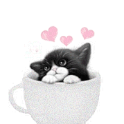 29.gif