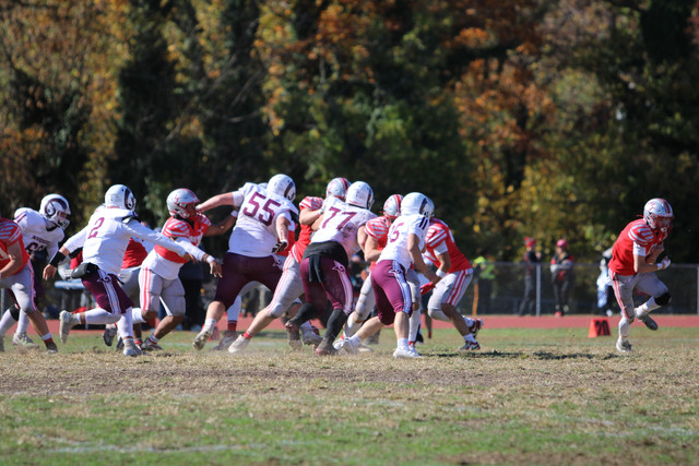 IMG-1509