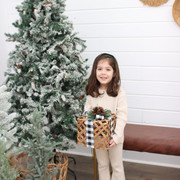 IMG-6583