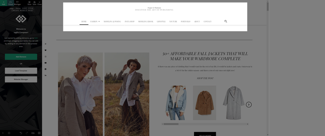 screenshot-pepperandplatinum-com-wp-admin-post-php-1606164285868