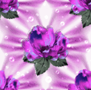 2f55dbdbe2c1