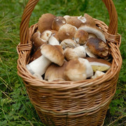 comp-2013-10-08-55