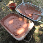 IMG-2613