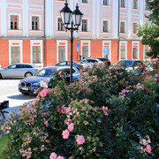 IMG-1030