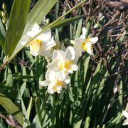 IMG-20230101-145356