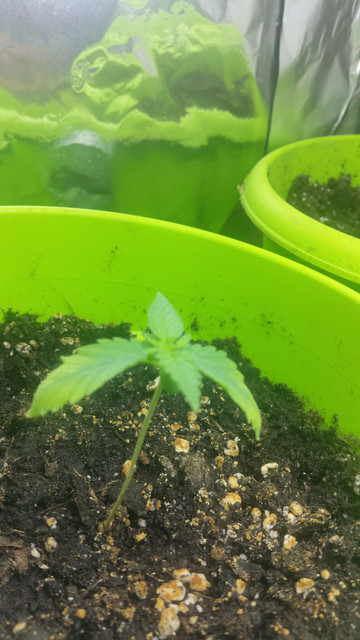 20170803 114629