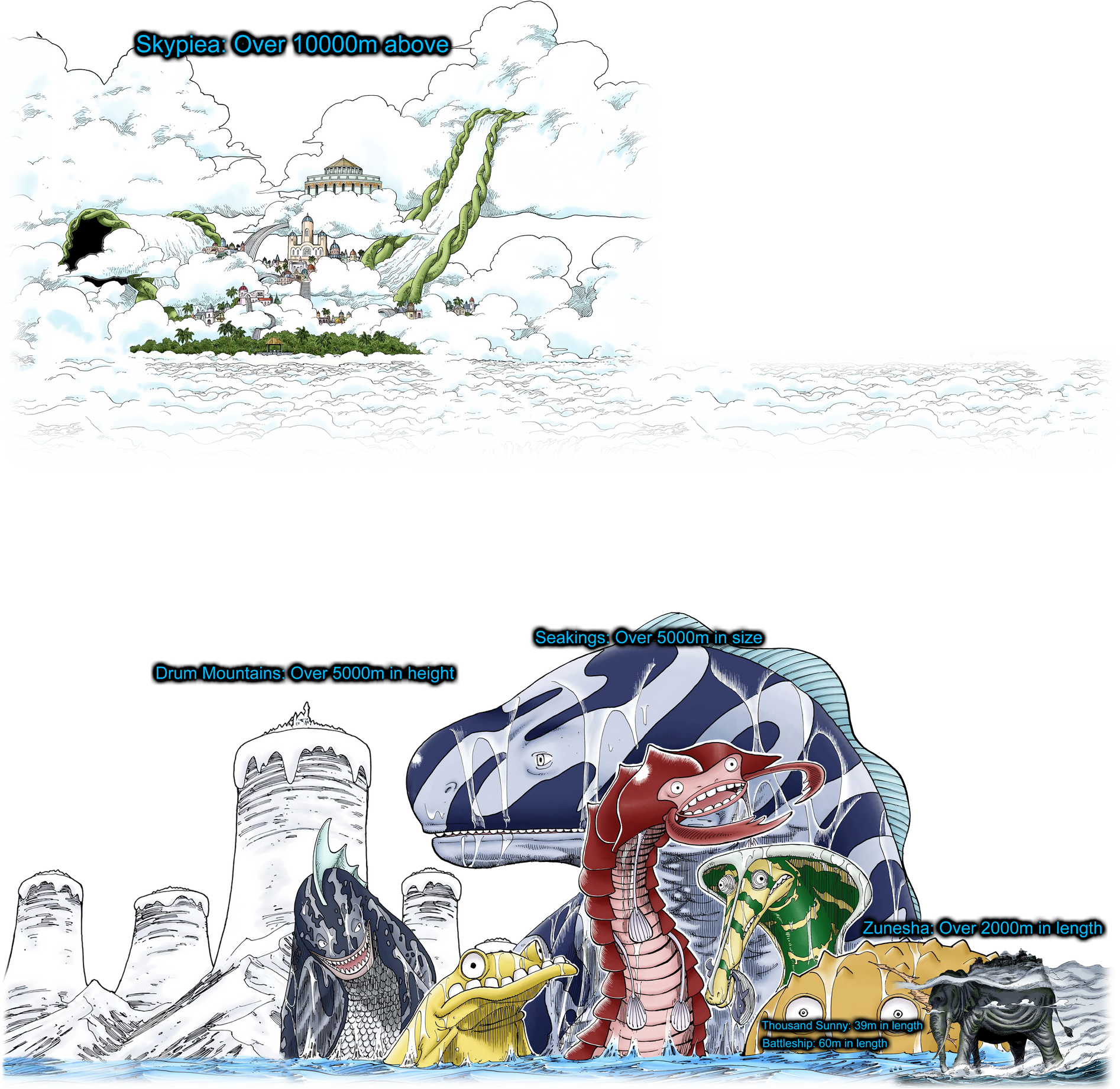 onepiecesizes-by-monkeyoflife-pre.png