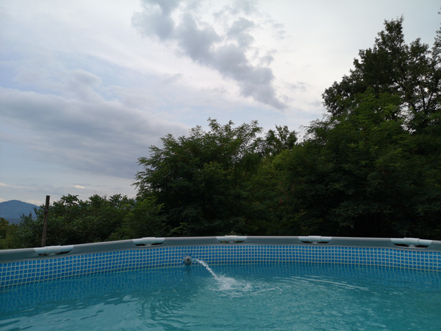 IMG-20220822-162634.jpg