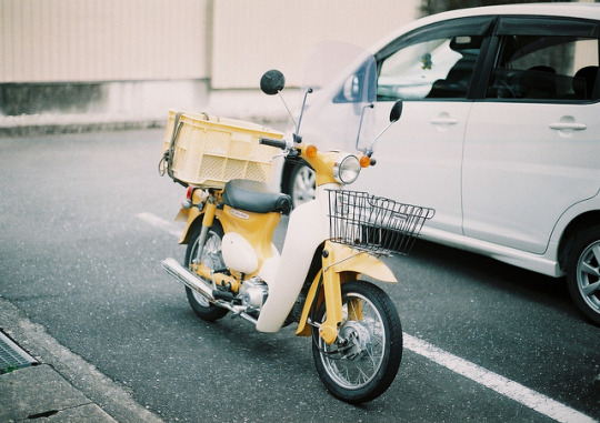 tumblr-mr9d0bja-LQ1r2am9wo1-r1-540