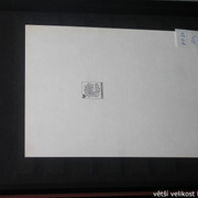 IMG-2371