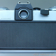 IMG-4233