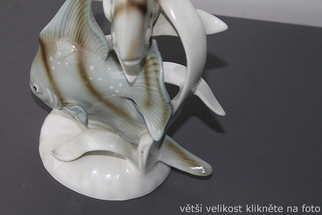 IMG-7904.jpg