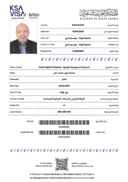 حسام نبيل محمد على