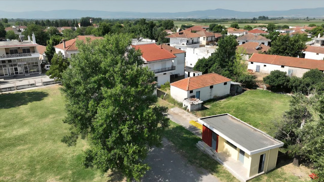 school10