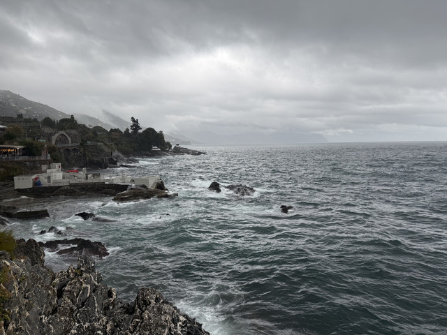 IMG-0877