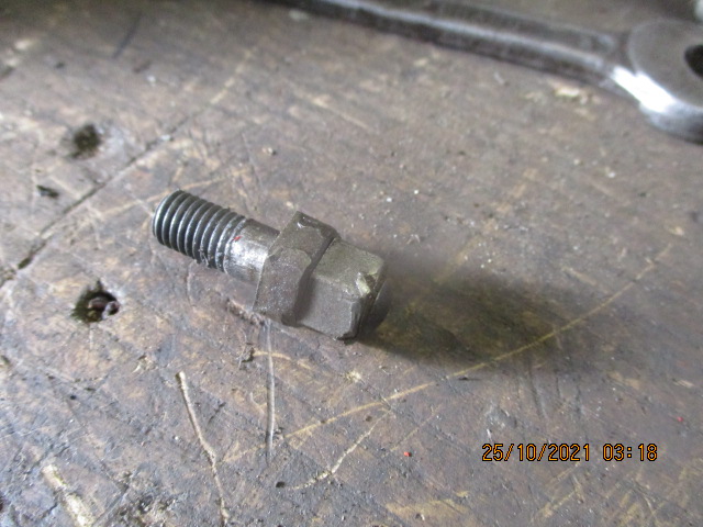 IMG-8891.jpg