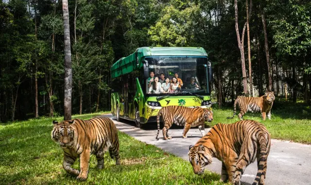 SAFARI PHÚ QUỐC