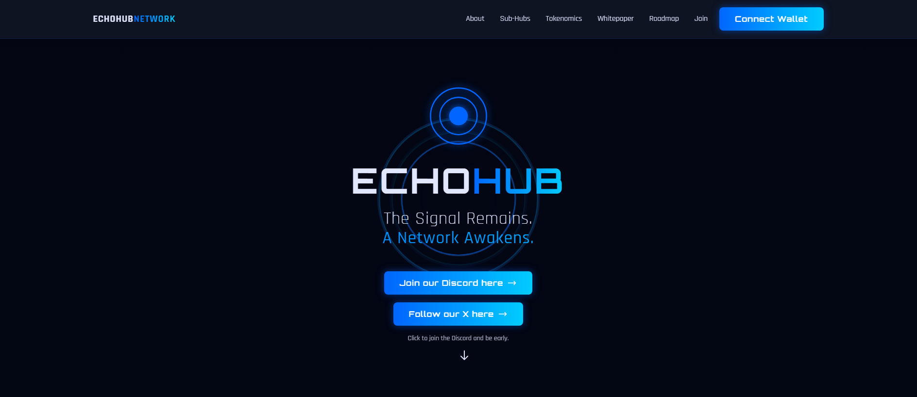 Forensic screenshot of echo-network.com showing the phishing page layout