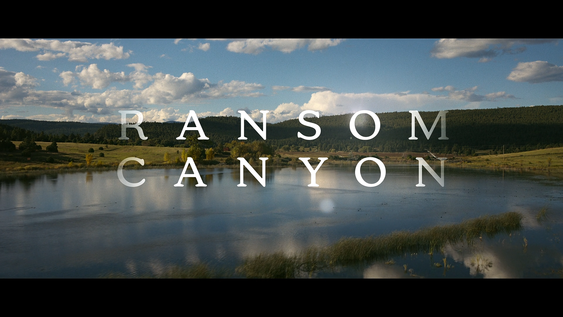 Movie cover image