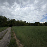 IMG 2361
