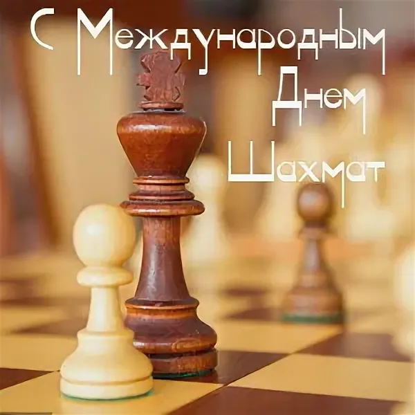 https://i.ibb.co/G3BGR98N/IMG-6767.webp